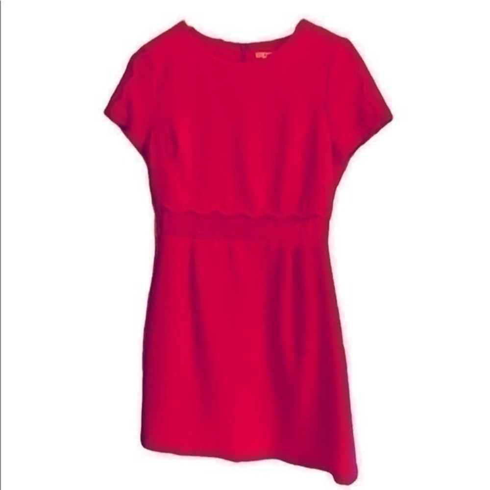 Esley Boutique Lace Short Sleeve dress